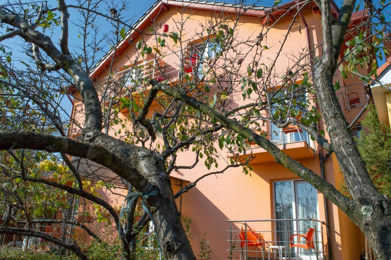 Pensiunea Carmena Băile Felix Exterior foto