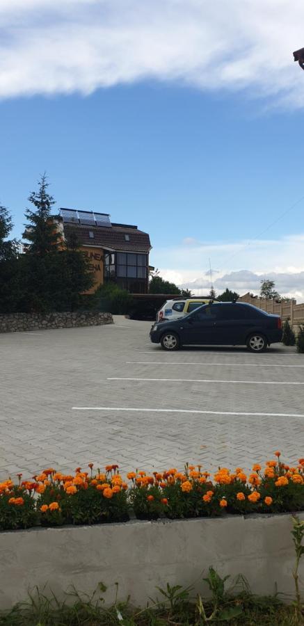 Pensiunea Carmena Băile Felix Exterior foto