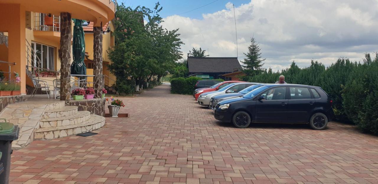 Pensiunea Carmena Băile Felix Exterior foto