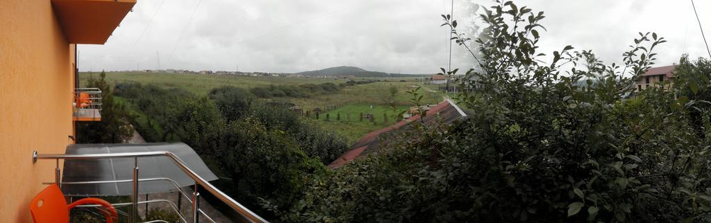Pensiunea Carmena Băile Felix Exterior foto